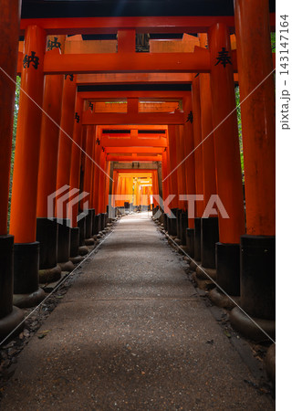 A low, centered view along vermilion torii at Fushimi Inari Taisha in Kyoto shows black bases, kanji marks, gravel and stone as soft daylight guides the eye forward. 143147164
