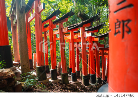Vermilion torii with black caps and Kanji line a forest path at Fushimi Inari Taisha in Kyoto, Japan. Sunlight casts dappled patterns as gates recede uphill. 143147460