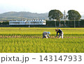 農作業をする夫婦　秋　和歌山電鉄貴志川線沿線 143147933