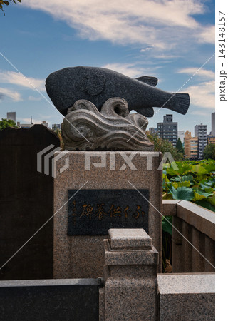 A carved stone fish on waves tops a granite pedestal by a lotus pond in Tokyo, near Shinobazu Pond in Ueno Park, with mid rise buildings visible in soft light. A carved stone fish on waves tops a granite pedestal by a lotus pond in Tokyo, near Shinobazu Pond in Ueno Park, with mid rise buildings visible in soft light. 143148157