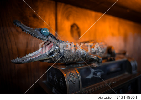 Close up of a crocodile like figure with open mouth on a metal chest, warm amber light, shallow focus, wooden panels. Close up of a crocodile like figure with open mouth on a metal chest, warm amber light, shallow focus, wooden panels. 143148651