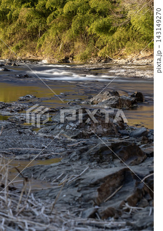 冬の陽光を受ける竹林と清らかに流れる荒川の風景 冬の陽光を受ける竹林と清らかに流れる荒川の風景 143149270