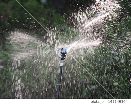 スプリンクラーで散水 143149564