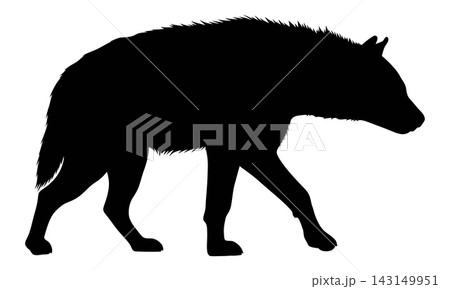 Black Wolf Silhouette Animal Icon 143149951