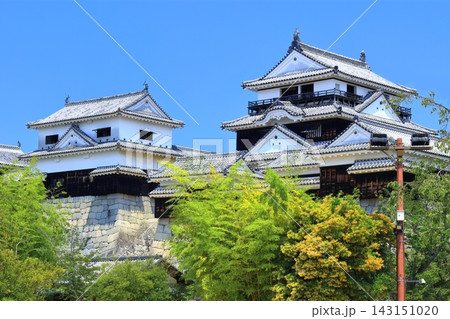【愛媛県】松山城（現存12天守） 143151020