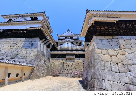 【愛媛県】松山城（現存12天守） 143151022