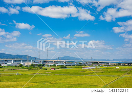 久御山町の田園風景 京都府 久御山町の田園風景 京都府 143152255
