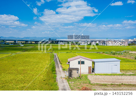 久御山町の田園風景 久御山町の田園風景 143152256