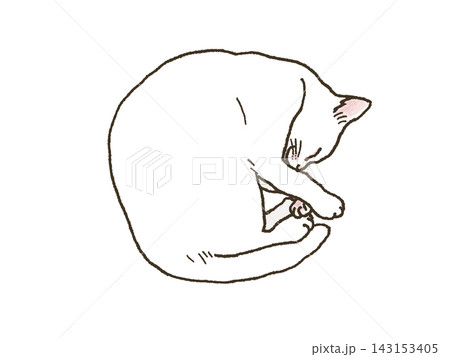 丸まって眠る猫 143153405