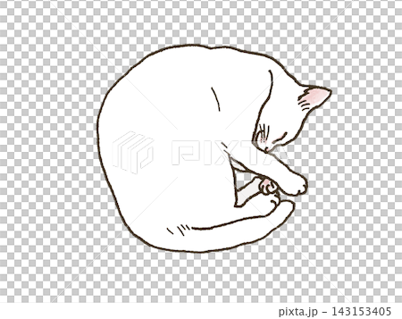 丸まって眠る猫 143153405
