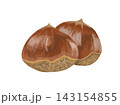 白バックに栗が2個並んだ秋の味覚イラスト 143154855