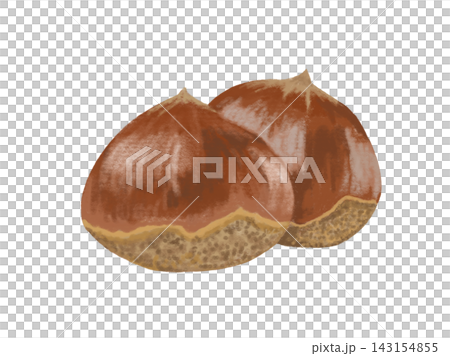 白バックに栗が2個並んだ秋の味覚イラスト 143154855