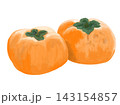 白バックに2つの柿が並んだイラスト 143154857