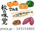 白バックに柿、南瓜、秋刀魚の塩焼き、栗、さつま芋とさんまと秋の味覚の筆文字入り秋の味覚一式イラスト 143154860