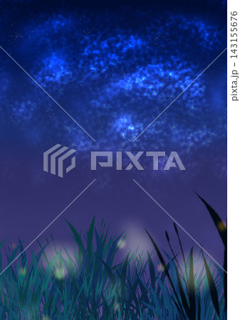 夜の草原と蛍 143155676