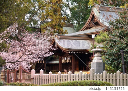 桜咲く和風建築の春景色 桜咲く和風建築の春景色 143155723