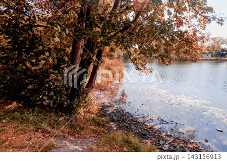 Peaceful Christiania lakeside landscape surrounded by trees.  143156913