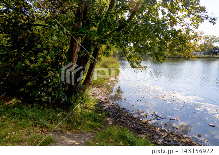 Peaceful Christiania lakeside landscape surrounded by trees. Peaceful Christiania lakeside landscape surrounded by trees. 143156922