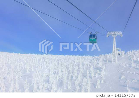 樹氷 霧氷 蔵王 樹氷 霧氷 蔵王 143157578