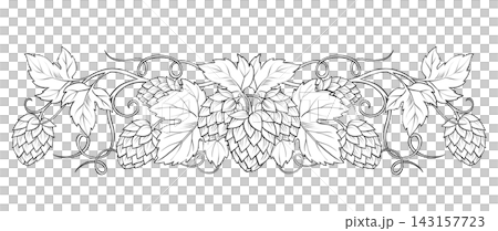 Hand-drawn hop cones and leaves text divider illustration 143157723
