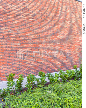 Red brick wall with green plants at the base in a modern outdoor setting 143158753