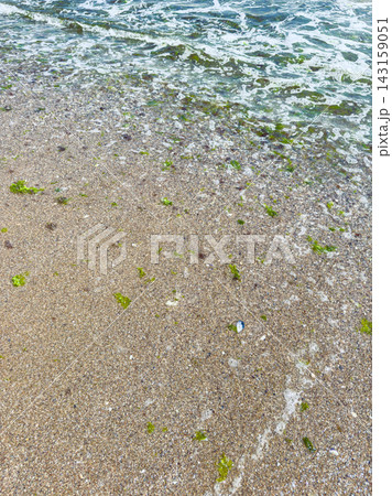 Waves wash over a sandy beach with small patches of green seaweed along the shoreline on a bright sunny day Waves wash over a sandy beach with small patches of green seaweed along the shoreline on a bright sunny day 143159051