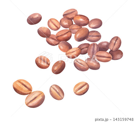 Watercolor coffee beans pattern closeup with scattered roasted beans on clean white background, warm brown tones and soft brush texture for cafe packaging design 143159748