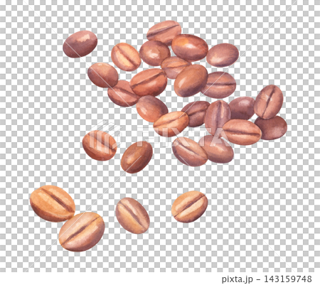Watercolor coffee beans pattern closeup with scattered roasted beans on clean white background, warm brown tones and soft brush texture for cafe packaging design 143159748