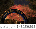 ライトアップされ赤やオレンジ色が鮮やかな筑波山の紅葉 143159898