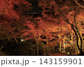 ライトアップされ赤やオレンジ色が鮮やかな筑波山の紅葉 143159901