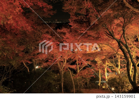 ライトアップされ赤やオレンジ色が鮮やかな筑波山の紅葉 ライトアップされ赤やオレンジ色が鮮やかな筑波山の紅葉 143159901