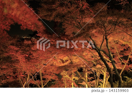 ライトアップされ赤やオレンジ色が鮮やかな筑波山の紅葉 143159903