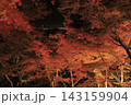 ライトアップされ赤やオレンジ色が鮮やかな筑波山の紅葉 143159904