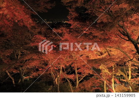 ライトアップされ赤やオレンジ色が鮮やかな筑波山の紅葉 ライトアップされ赤やオレンジ色が鮮やかな筑波山の紅葉 143159905