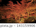 ライトアップされ赤やオレンジ色が鮮やかな筑波山の紅葉 143159906
