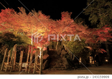 ライトアップされ赤やオレンジ色が鮮やかな筑波山の紅葉 143159909