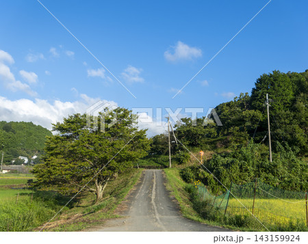 田んぼと木々が広がる道路の風景 143159924