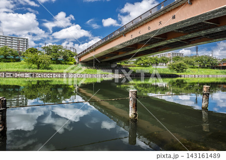 夏の大島小松川公園と旧中川の風景 東京都江東区大島 夏の大島小松川公園と旧中川の風景 東京都江東区大島 143161489