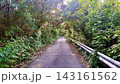 三宅島の緑豊かな森に囲まれた美しい都道の風景 143161562