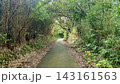 三宅島の緑豊かな森に囲まれた美しい都道の風景 143161563