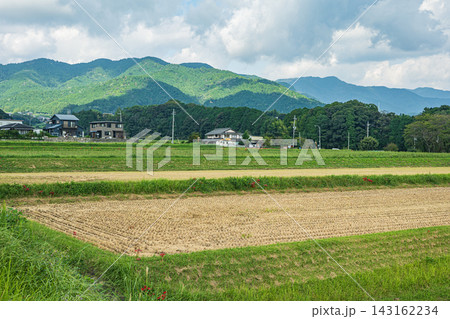 大津市伊香立の棚田 収穫を終えた田んぼ 滋賀県 大津市伊香立の棚田 収穫を終えた田んぼ 滋賀県 143162234