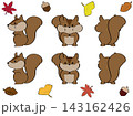 リスと秋のモチーフのイラストセット 143162426