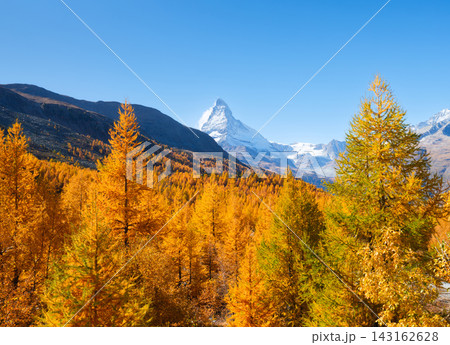 Matterhorn mountain peak rising above a colorful autumn forest in Zermatt, Switzerland.  143162628