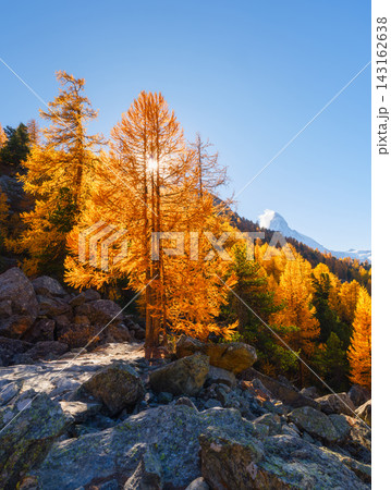 Vertical photo. Scenic mountain landscape with colorful autumn trees under a clear sky in daytime. Vertical photo. Scenic mountain landscape with colorful autumn trees under a clear sky in daytime. 143162638