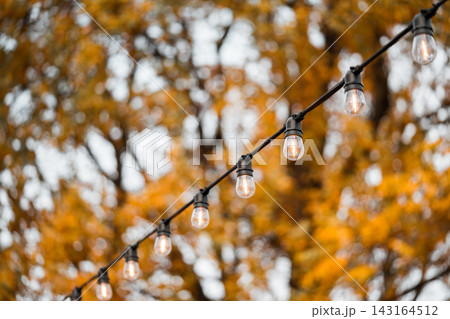 Outdoor string light bulbs on golden autumn trees and warm bokeh background. Cafe and patio decor 143164512
