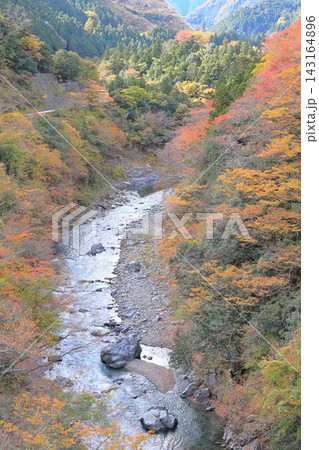 奥多摩海沢大橋から望む氷川渓谷の紅葉 奥多摩海沢大橋から望む氷川渓谷の紅葉 143164896