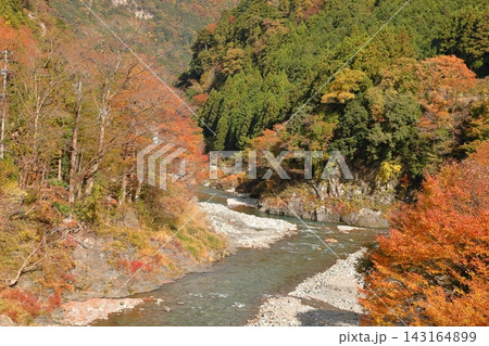 奥多摩海沢大橋から望む氷川渓谷の紅葉 143164899