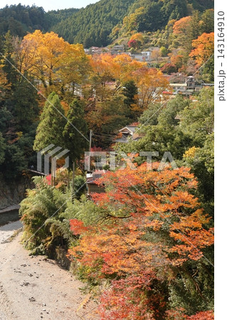 奥多摩海沢大橋から望む氷川渓谷の紅葉 143164910