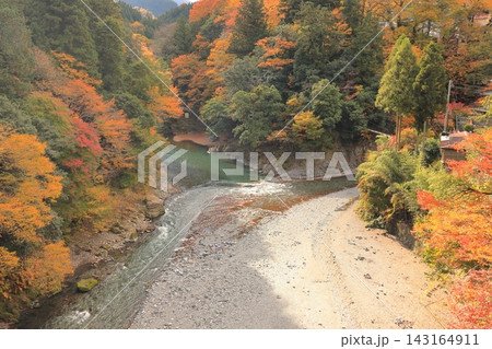 奥多摩海沢大橋から望む氷川渓谷の紅葉 143164911