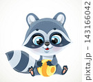 Cute cartoon baby raccoon with stripped ball sit on a white background 143166042